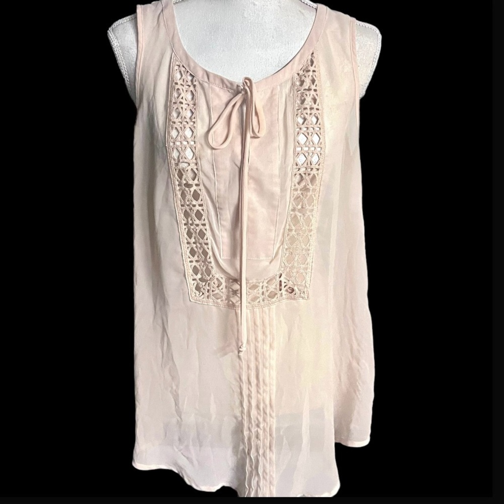 Daniel Rainn Sheer Sleeveless Blouse; Size Medium